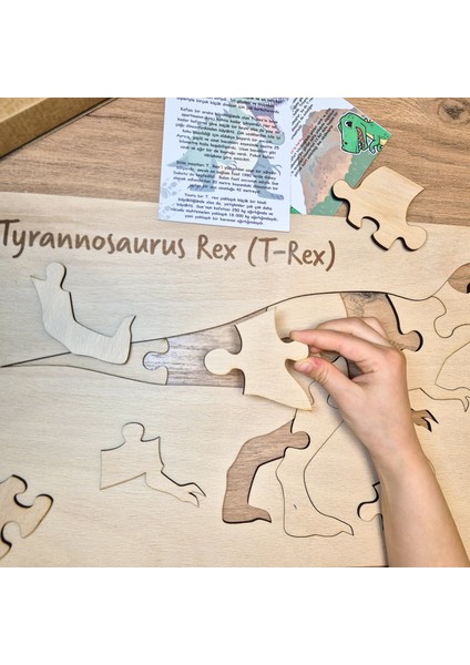 Doğal Ahşap Yapboz, Dinozor Puzzle, 12 Parça, Çizim Şablonu, Sticker Etiket Hediyeli, T-Rex modelleri