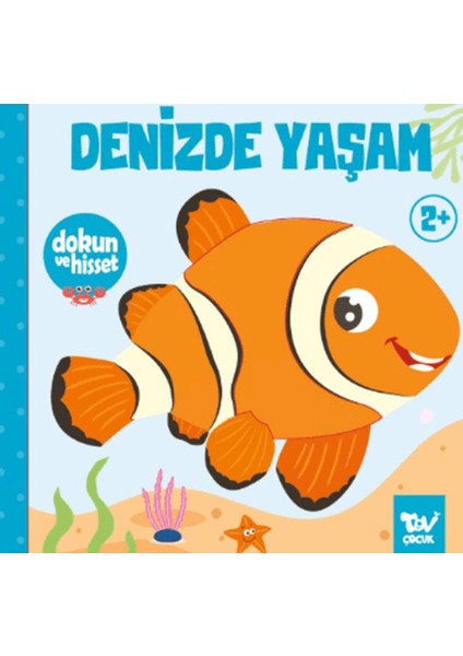 Dokun ve Hisset Denizde Yaşam