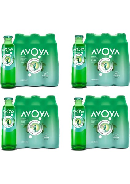 Sade Maden Suyu 200 ml x 24