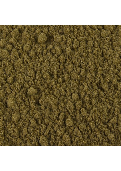 Kereviz Tohumu Tozu 1 kg