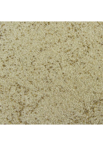 Kereviz Tohumu Tuzu 100 gr