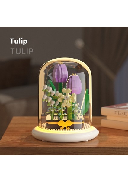 Yapı Taşları Aeon Çiçek Puzzle Oyuncak Tatil Hediyesi (Yurt Dışından)