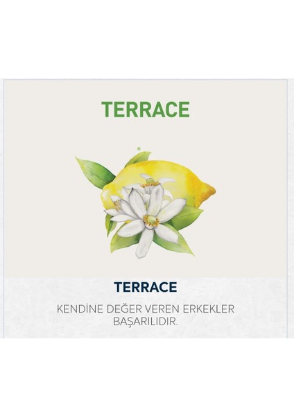 Terrace-220ml Scento Ortam Kokusu