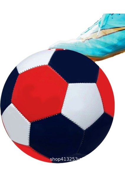 Yetişkin Genç Makine Dikişi Aşınmaya Dayanıklı Ilk ve Ortaokul Öğrencileri Eğitim Oyunları Özel Pvc Futbol 5 (Yurt Dışından)