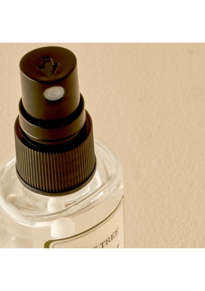 Olive Tree Kolonya 3'lü Yeşil (50 ml)