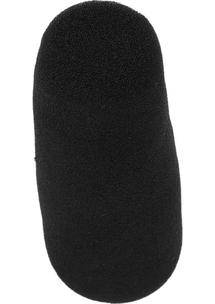 12 cm Mikrofon Miniphone Köpük Sünger Ön Cam Kapak Miniphone Için Siyah (Yurt Dışından)