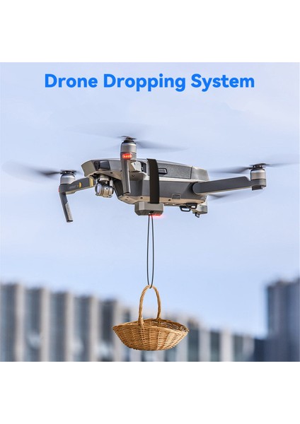 Djı Mini 3 Pro/mini 3/mini 2 Se/phantom 3 4/4 Pro Için Drone Airdrop Sistemi Düğün Sahne Balıkçılık Yemi Için Atıcı Atın (Yurt Dışından)