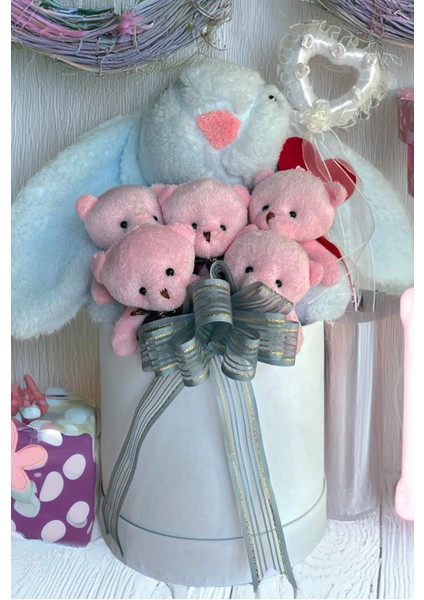 Premium Özel Hediye Kutusunda 45 cm Mavi Bunny Tavşan ve 5 Adet Pembe Peluş Ayıcık Buketi fiyatları