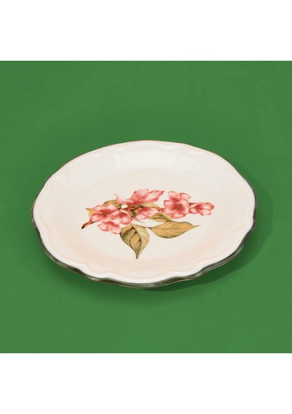 Kitchen Orchid 6'lı Tatlı Tabağı - Renkli fiyatları