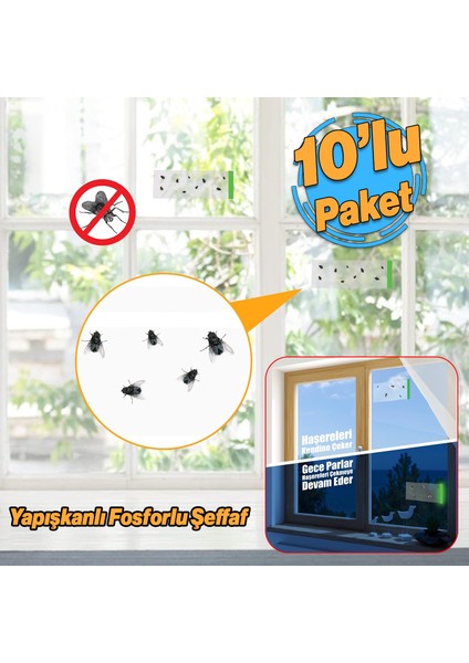 Fosforlu Yapışkanlı Şeffaf Kokusuz Haşere Sinek Kapanı Şerit Bandı 215 mm x 125 mm 10'lu Paket