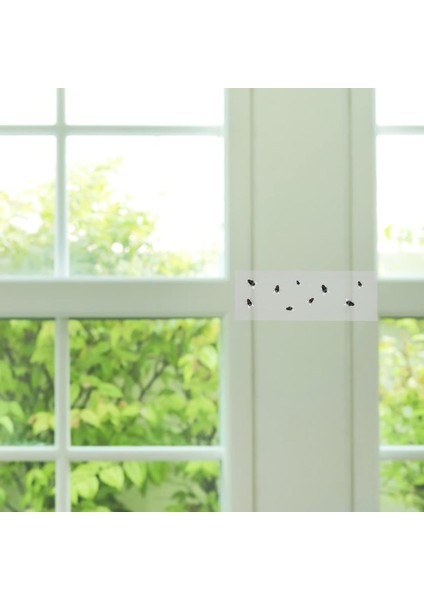 Fosforlu Yapışkanlı Şeffaf Kokusuz Haşere Sinek Kapanı Şerit Bandı 215 mm x 125 mm 10'lu Paket