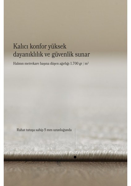 Özel Tasarım Krem Renk Oturma Odası Salon Halısı Kolay Temizlenebilir Kaymaz Taban Halı indirimleri