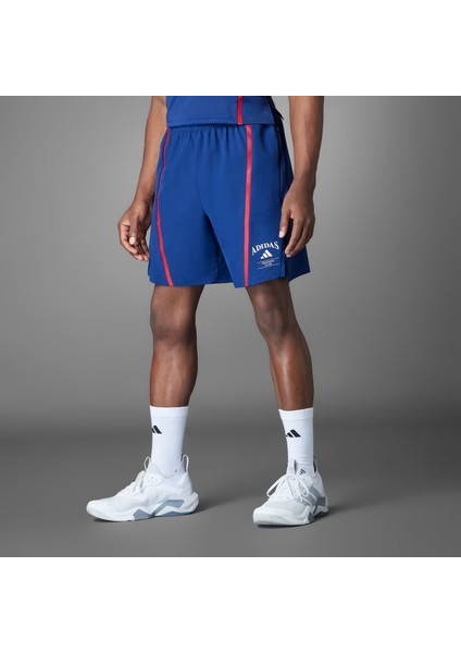 Designed-For-Training Legacy Erkek Şort JE8234