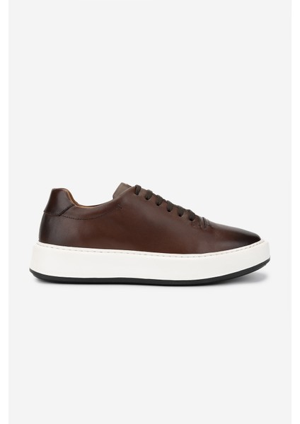 Erkek Deri Taba Sneakers & Spor Ayakkabı 1093 2276 Erk Ayk Y25 Taba