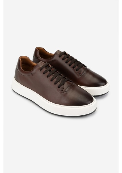 Erkek Deri Taba Sneakers & Spor Ayakkabı 1093 2276 Erk Ayk Y25 Taba fiyatları