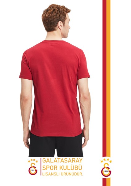 Orijinal Lisanslı Aslan Baskılı T-Shirt fiyatları