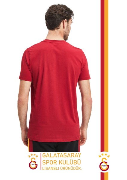 Orijinal Lisanslı Kırmızı Erkek T-Shirt Gs Aslan Baskılı Hediyelik Ahşap Kutulu modelleri