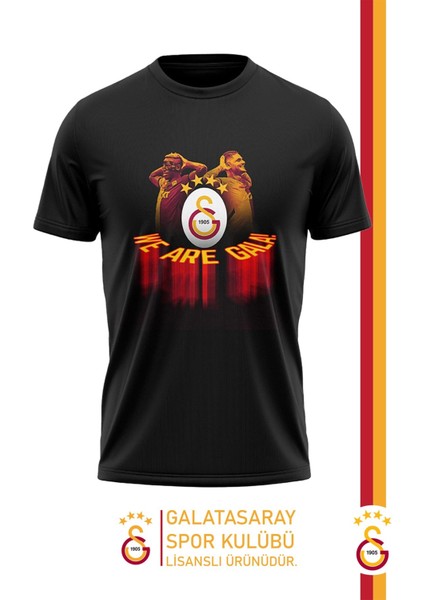 Orijinal Lisanslı We Are Gala T-Shirt Gs Aslan Baskılı Hediyelik Ahşap Kutulu fiyatları