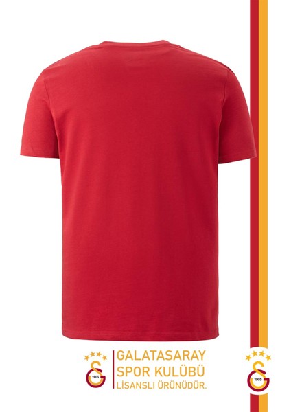 Orijinal Lisanslı Arma T-Shirt Gs Aslan Baskılı Hediyelik Ahşap Kutulu modelleri