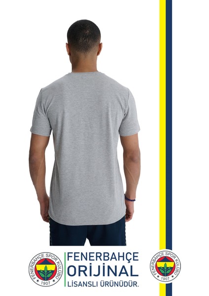 Orijinal Lisanslı 6 Renk Logo Gri Tribün T-Shirt fiyatları