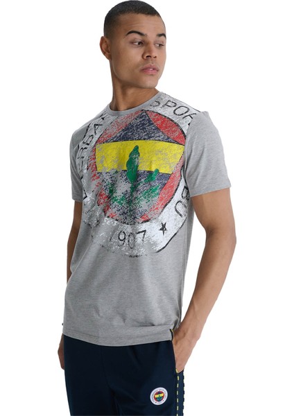 Orijinal Lisanslı 6 Renk Logo Gri Tribün T-Shirt indirimleri