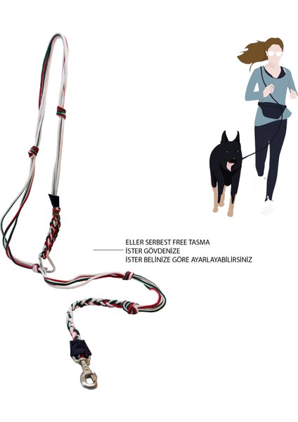 Üç Renkli Tasarım Köpek Eller Serbest Hands Free Koşu Ve Yürüyüş Gezdirme Tasması