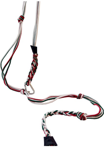 Üç Renkli Tasarım Köpek Eller Serbest Hands Free Koşu Ve Yürüyüş Gezdirme Tasması