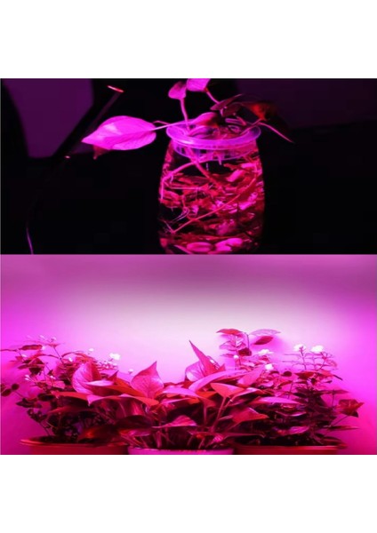 Grow LED 36LEDLI 12V 5630 Full Spectrum Bitki Yetiştirme Ledi 50 cm modelleri