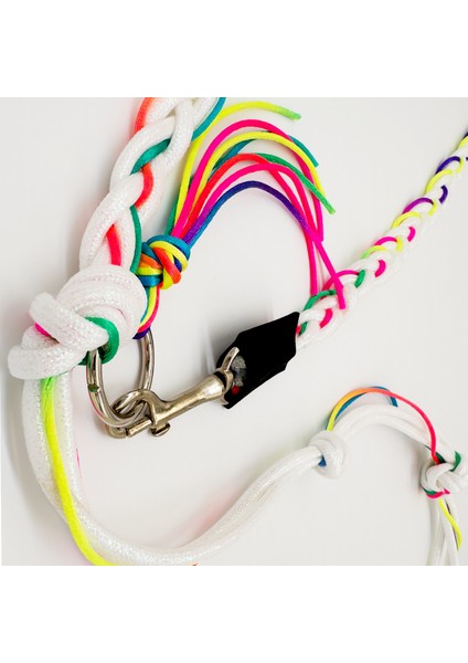 Çok Renkli Köpek Eller Serbest Hands Free Koşu Ve Yürüyüş Gezdirme Tasması fiyatları