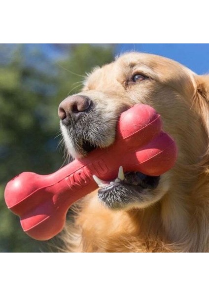 Kemik Şeklinde Kauçuk Köpek Oyuncağı Large 21 cm Kırmızı modelleri