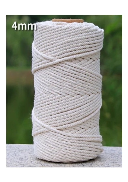 4MMX100M Stili El Yapımı Halat 100% Pamuk Halat Parti Düğün Dekorasyon Malzemeleri Için Renkli Sicim Makrome Kordon Dize Iplik Dıy Kordon (Yurt Dışından)