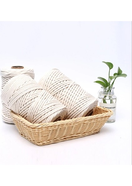 4MMX100M Stili El Yapımı Halat 100% Pamuk Halat Parti Düğün Dekorasyon Malzemeleri Için Renkli Sicim Makrome Kordon Dize Iplik Dıy Kordon (Yurt Dışından) fiyatları