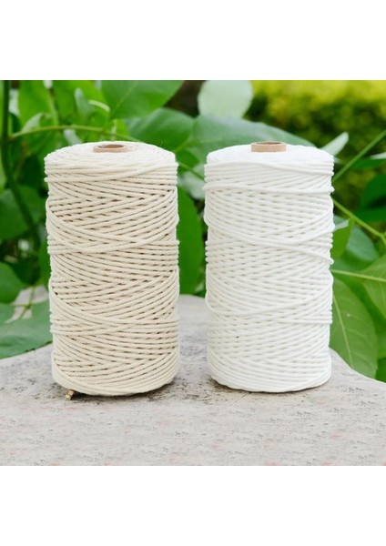 2mm 200M Beyaz Stil Acrame Halat Bükülmüş Dize Pamuk Kordon El Yapımı Doğal Bej Halat Dıy Aksesuarları M (Yurt Dışından) modelleri