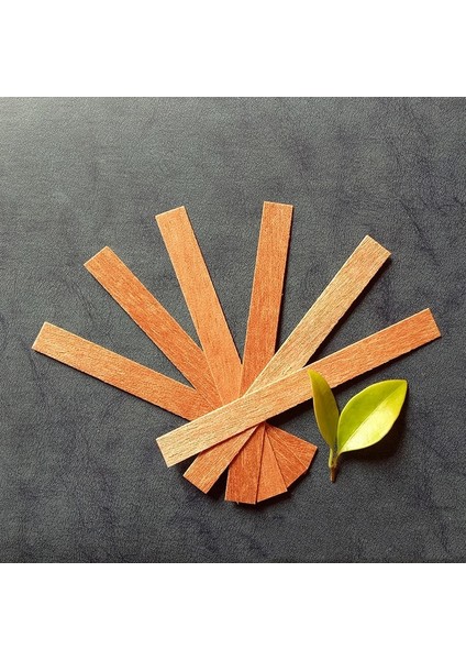 20 Adet Üçgen Koltuk Stili Sustainer Tab ile Ahşap Mumlar Fitil Dıy Mum Yapımı Malzemeleri Soya Parfin Balmumu Fitili Aile XJ27 Için (Yurt Dışından)