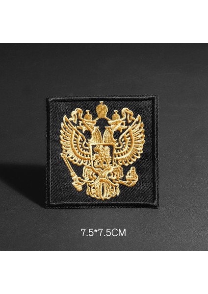 N5-BT8014 Stili Farklı Stiller Rus Bayrağı Ulusal Amblem Yama Rusya'nın Pilot Insanları Askeri Polis Şerit Ordu Asker Yamaları Rozeti (Yurt Dışından)