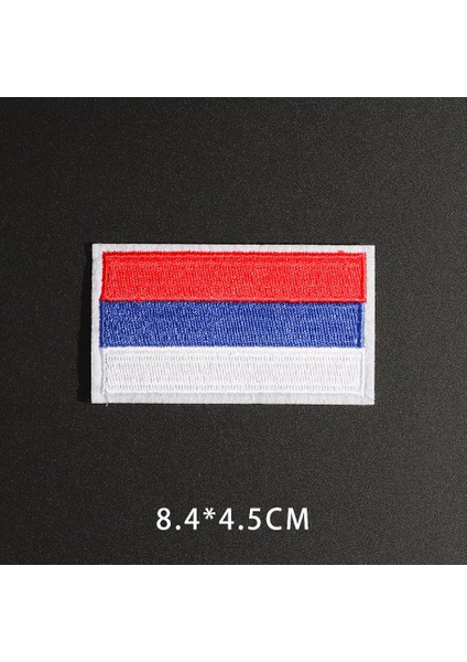 N5-BT8014 Stili Farklı Stiller Rus Bayrağı Ulusal Amblem Yama Rusya'nın Pilot Insanları Askeri Polis Şerit Ordu Asker Yamaları Rozeti (Yurt Dışından) modelleri