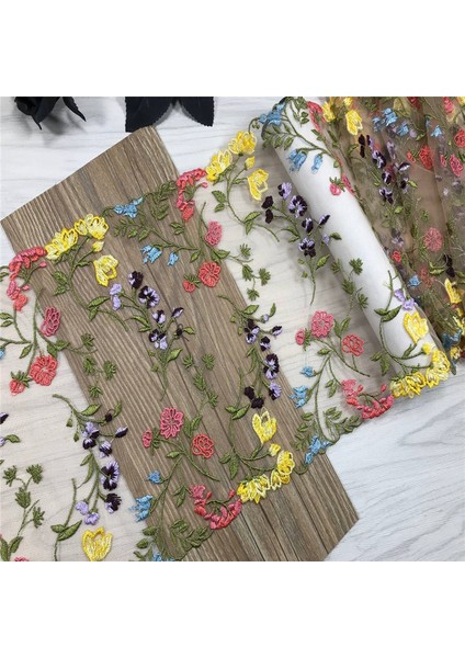 Renk4 Stili (1mlot) Ikili Işlemeli Dantel Trim Net Nakış Dantel Kumaş Örgü Dıy Dantel Dikiş Kumaş Sutyen El Sanatları Iğne Işi (Yurt Dışından) modelleri