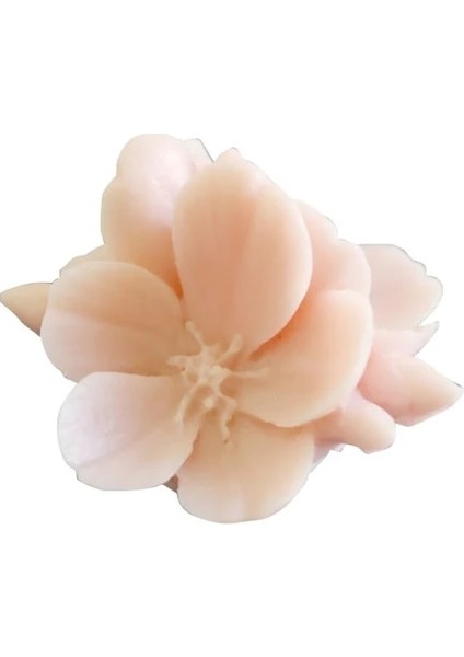 6X6CM Tarzı 3D Kiraz Çiçeği Çiçek Mum Alçı Kalıpları Çiçek Çikolata Pişirme Dekoru 3D Sakura Çiçek Aromaterapi Mum Kalıpları (Yurt Dışından) indirimleri
