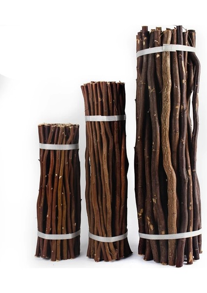 50CM Kahverengi Tarzı 30CM Kahverengi Dallar Dekorasyon Kuru Dallar Doğal Kuru Dallar El Yapımı Dıy Kısa Ahşap Kesit Kütük Dallar Dekorasyon Yaratıcı Malzemeler (Yurt Dışından)