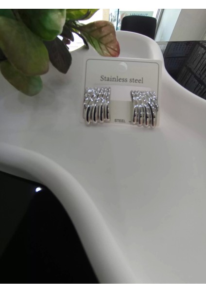 Silver Deniz Kabuğu Model Çelik Küpe