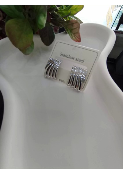 Silver Deniz Kabuğu Model Çelik Küpe fiyatları