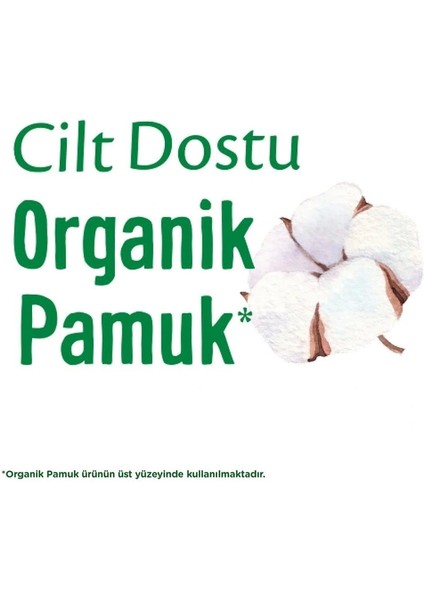 Nessiworld Molped Pure&soft Cilt Dostu Ped Eko 32 Adet fiyatları