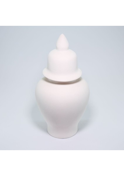 (Ham Ürün ) 26 cm Şah Kavanoz (Kapaklı)Seramik Bisküvi (Ham Ürün) fırsatları