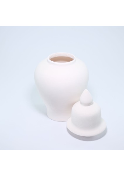 (Ham Ürün ) 26 cm Şah Kavanoz (Kapaklı)Seramik Bisküvi (Ham Ürün) indirimleri