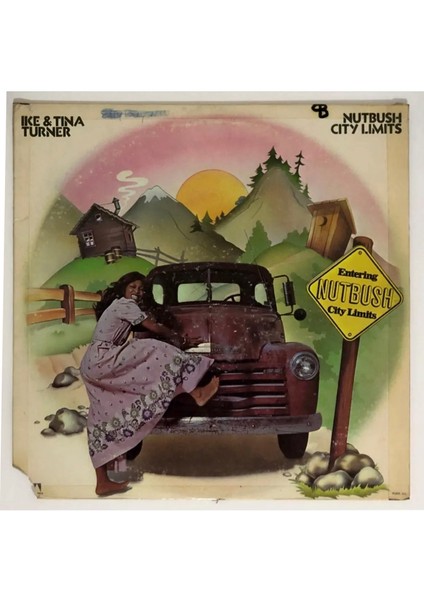 Ike & Tina Turner Nutbush City Limits Lp Plak (Orjinal 1973 Amerika Baskı)