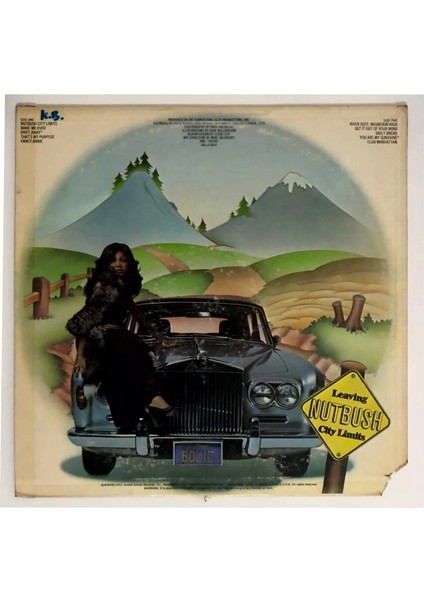 Ike & Tina Turner Nutbush City Limits Lp Plak (Orjinal 1973 Amerika Baskı) fiyatları