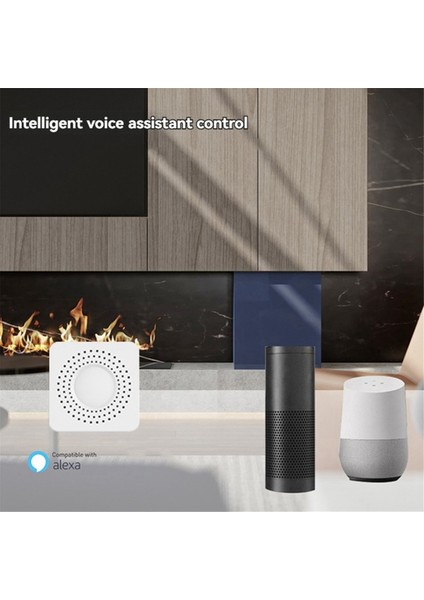 Zigbee Röle Anahtar Modülü 10A 3 Kanal AC100-240V Alexa Home Mini Akıllı Anahtar Modülü ile Çalışır (Yurt Dışından)