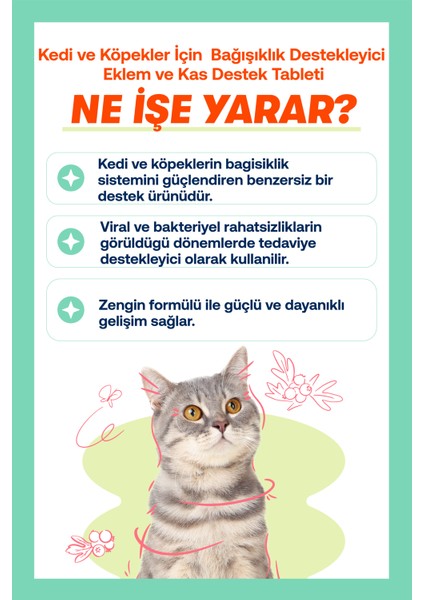 Immune+C Tablet ( Kedi ve Köpekler Için Desteği)