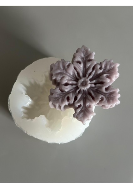 Kartanesi Model Silikon Kalıp