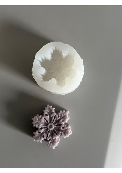 Kartanesi Model Silikon Kalıp fırsatları